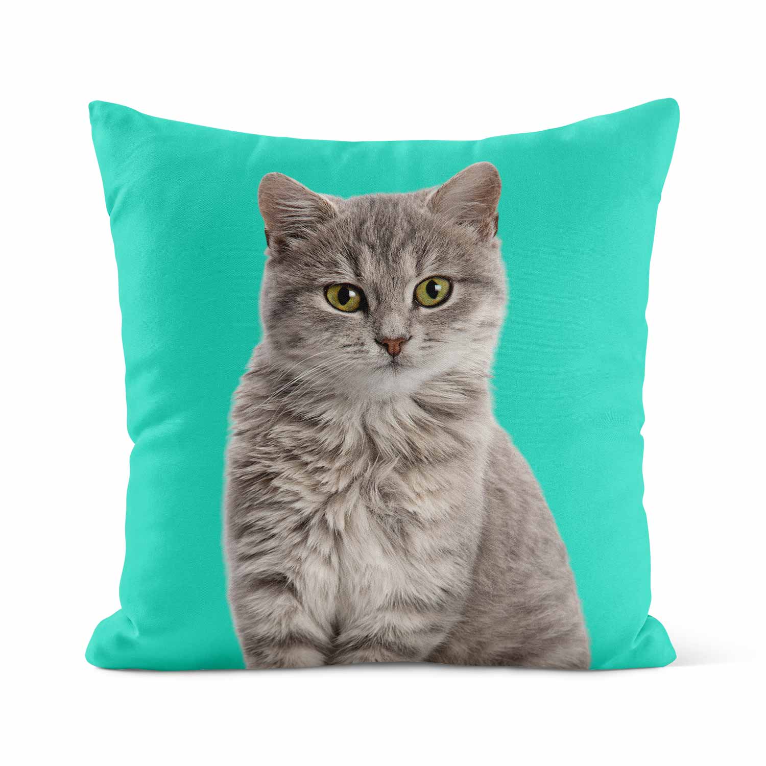 Your Cat Cushion