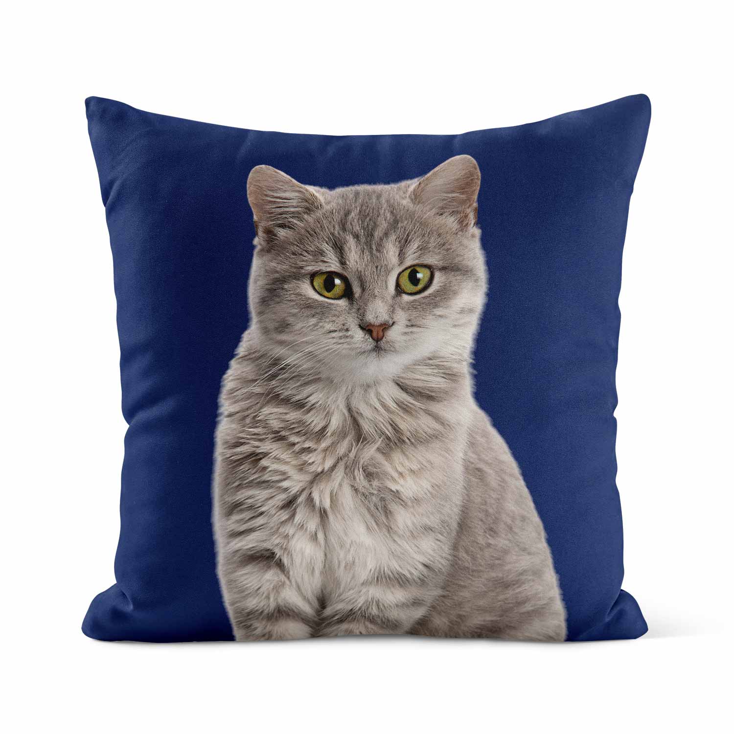 Your Cat Cushion