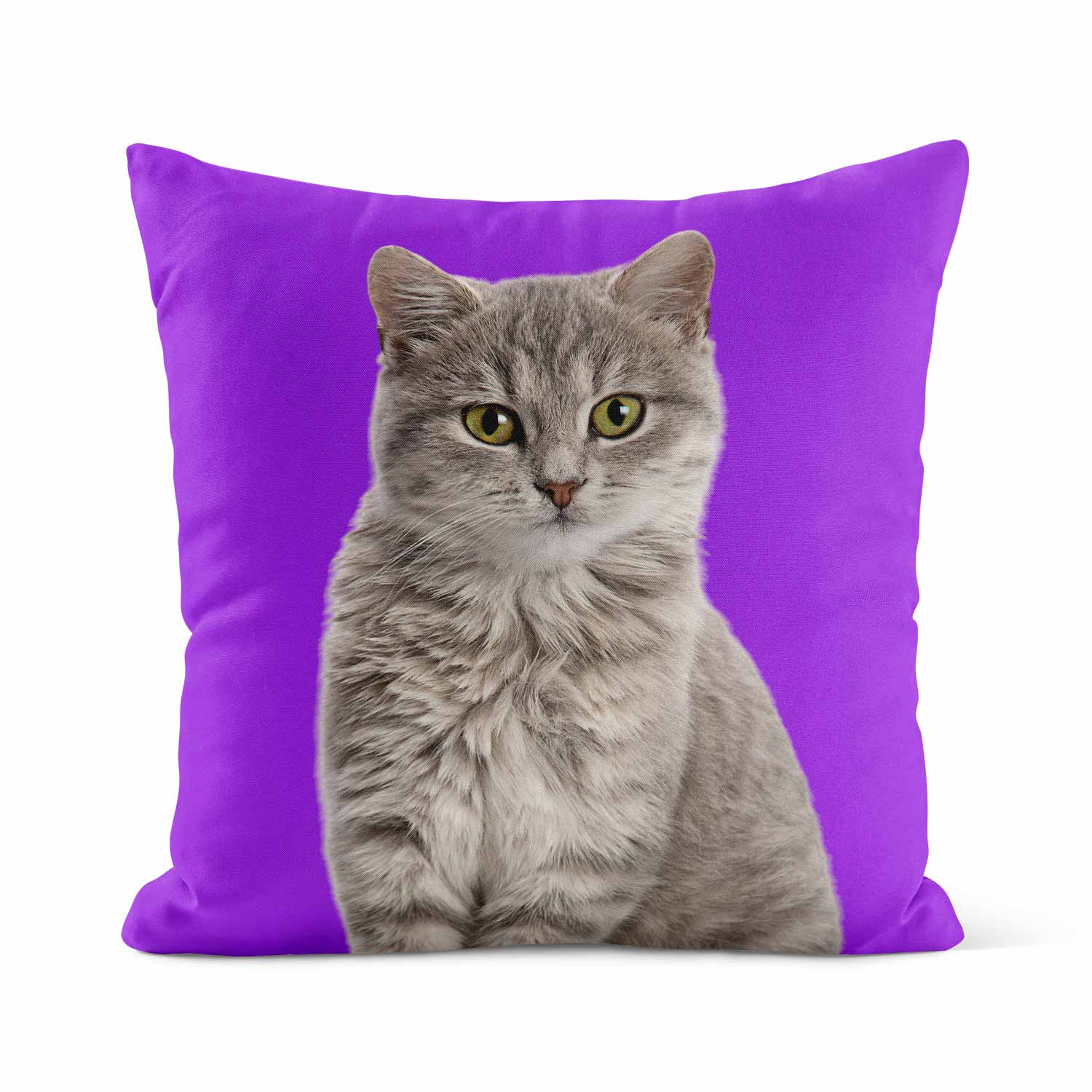 Your Cat Cushion