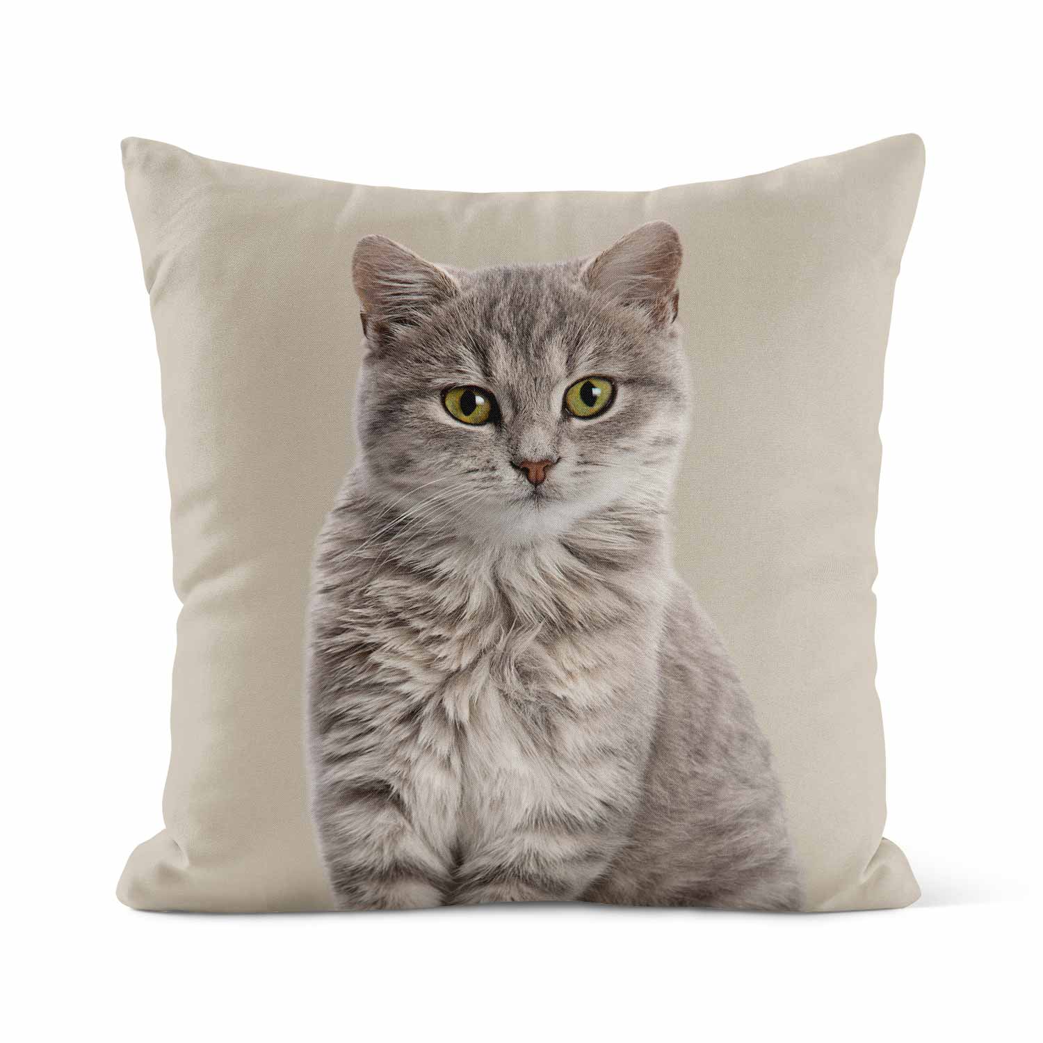 Your Cat Cushion