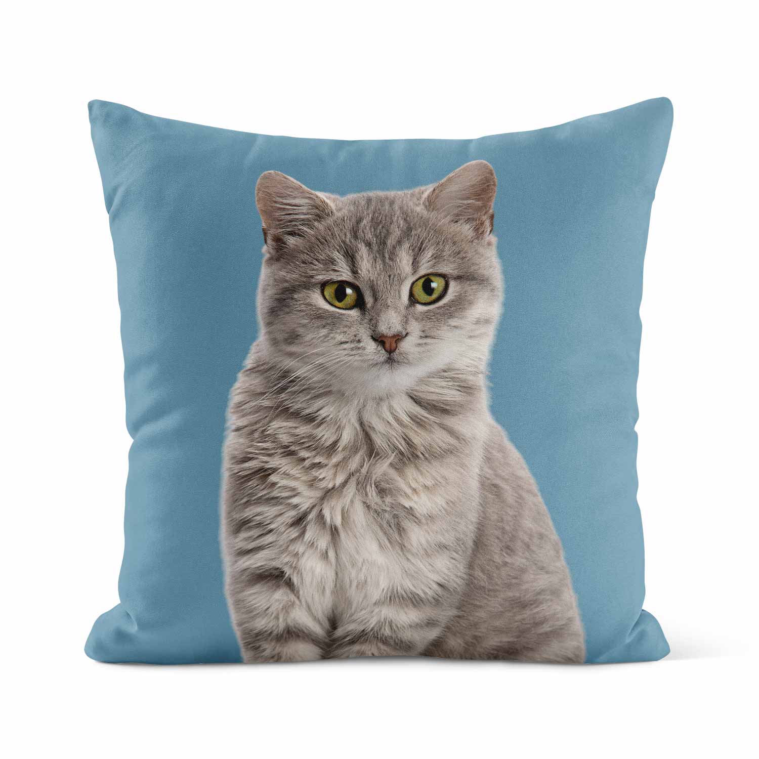 Your Cat Cushion
