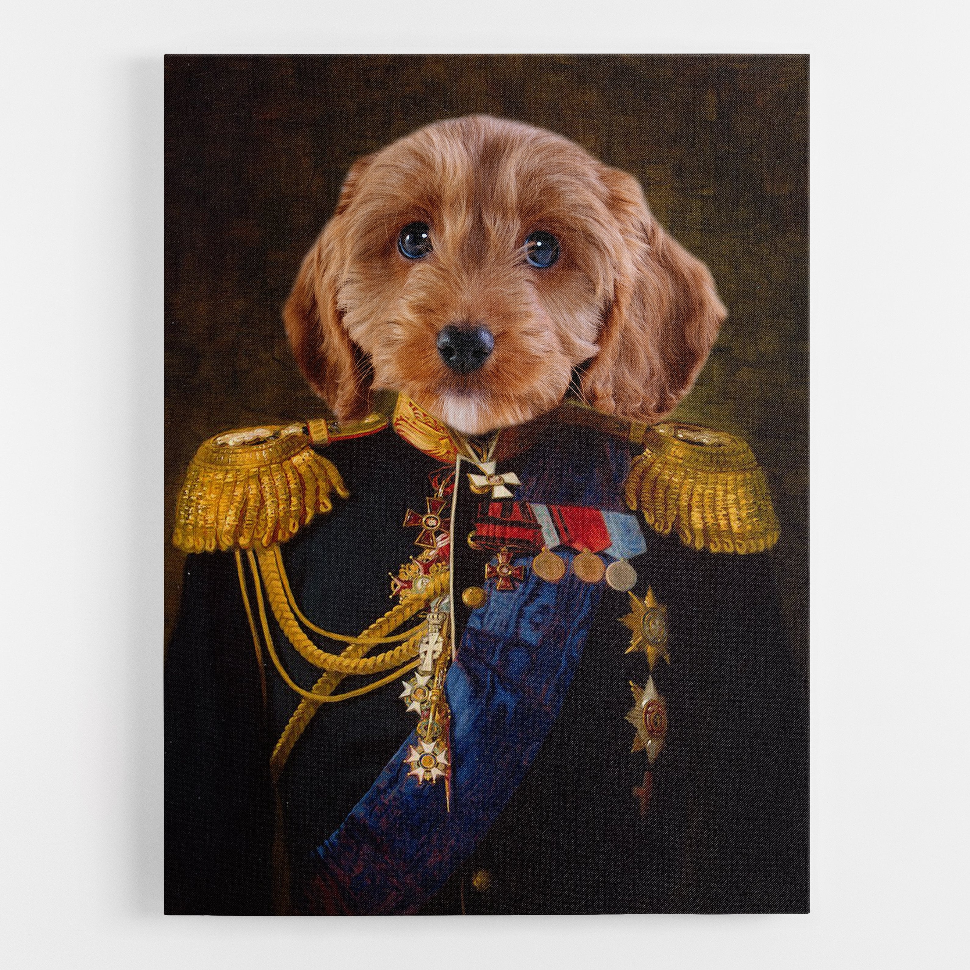 Dog Admiral Canvas