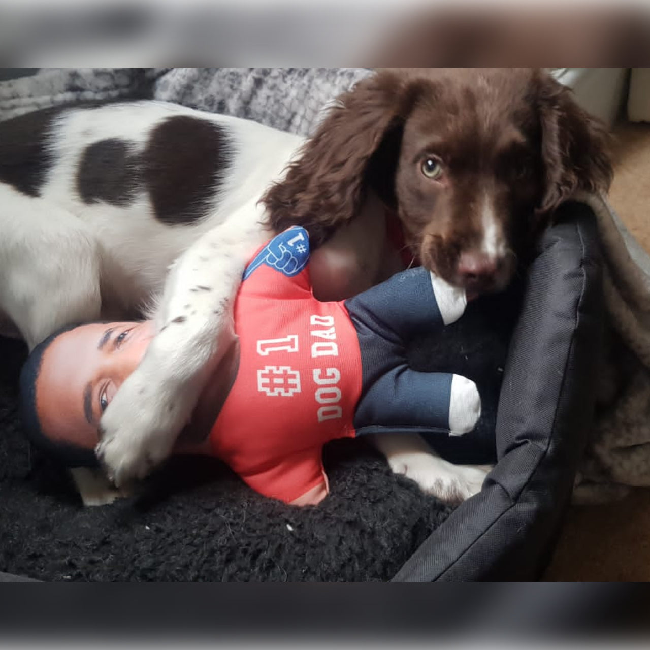 Personalised Number 1 Dog Dad Dog Toy