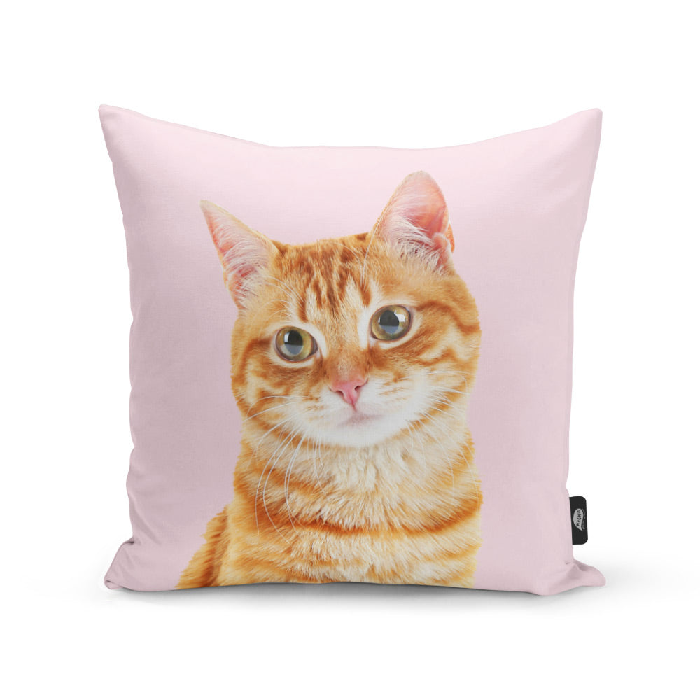 Your Cat Cushion