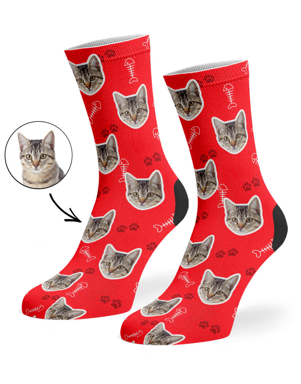 Red Your Cat On Socks
