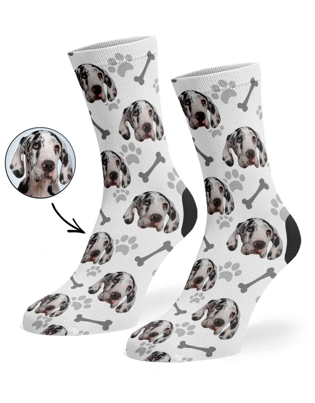 White Your Dog On Socks