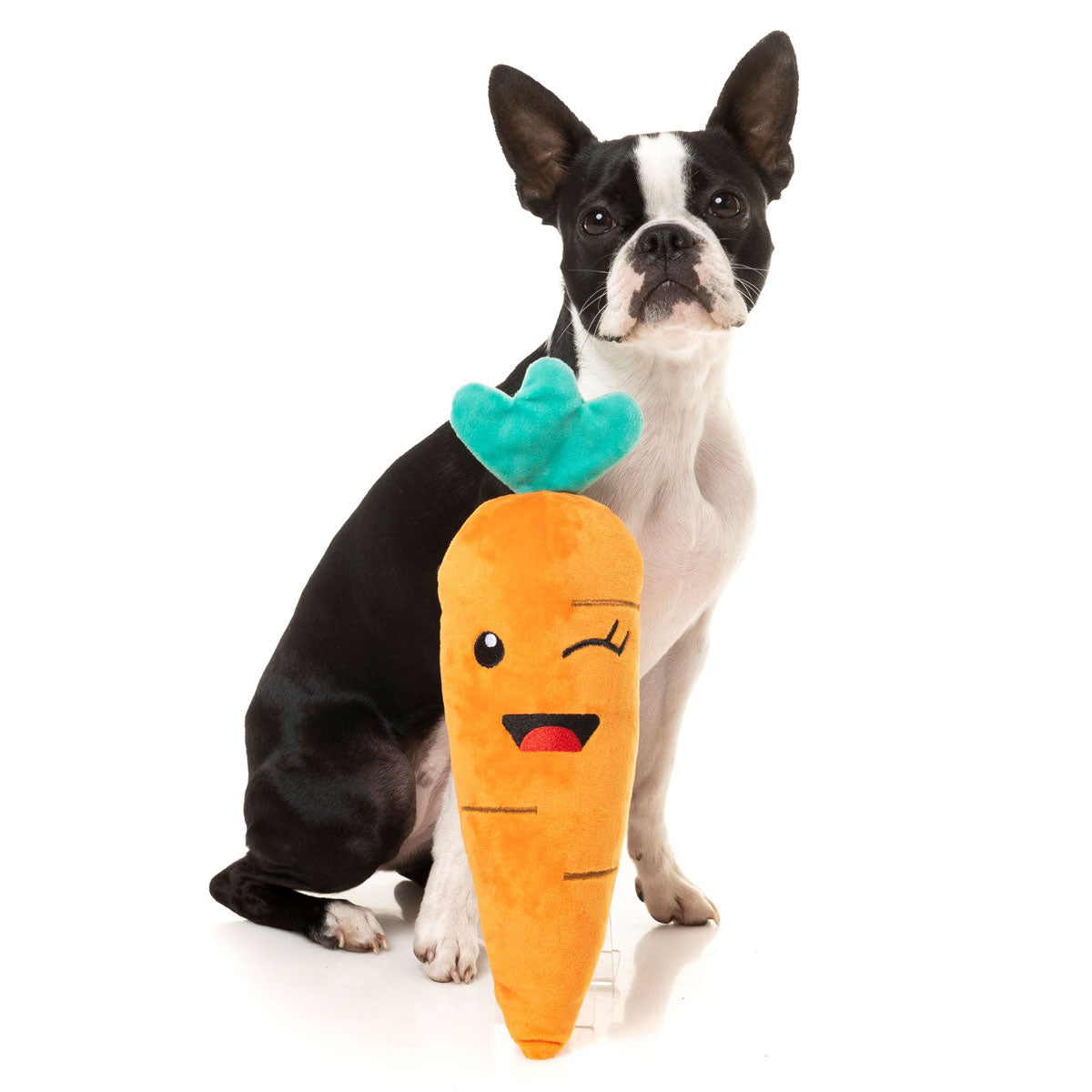 carrot-dog-toy