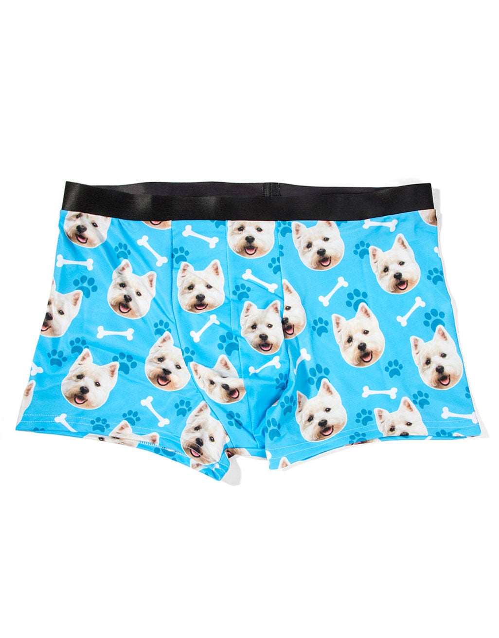 Your Dog on Boxers