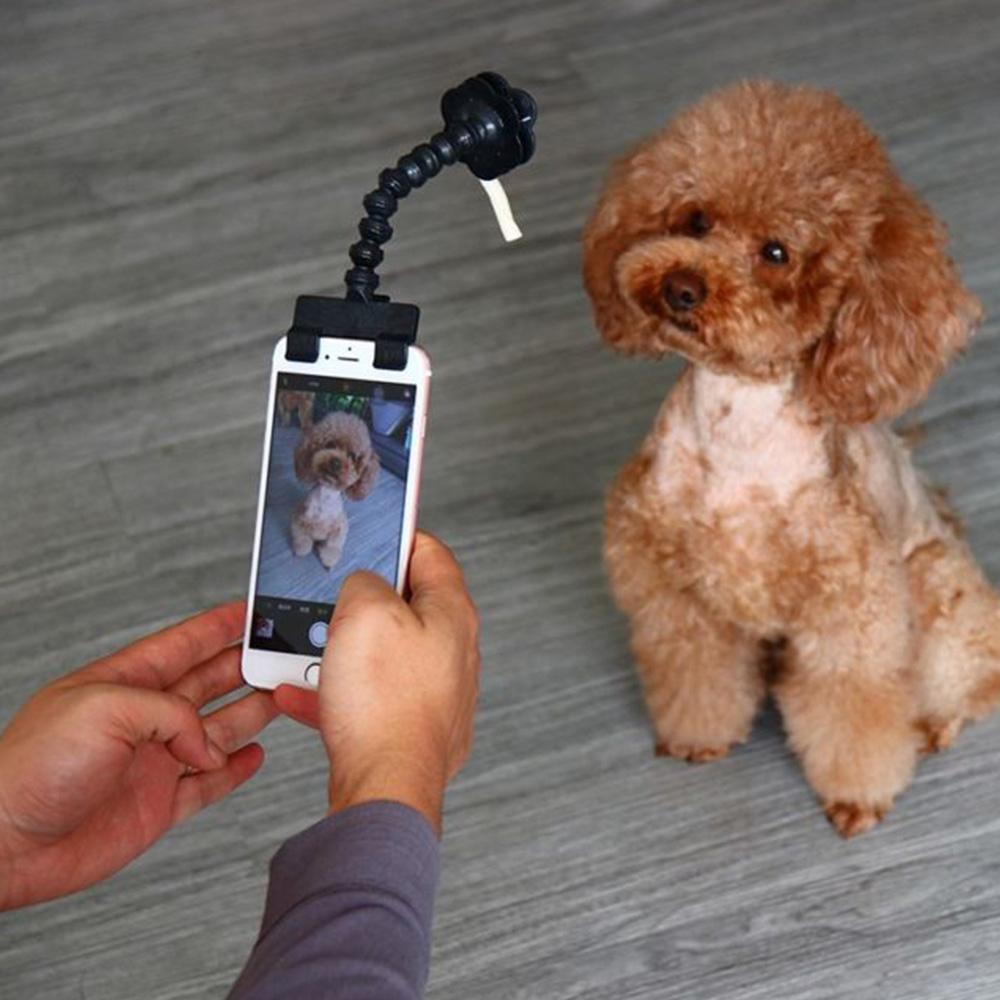Dog Selfie Stick